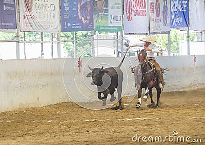 International Mariachi & Charros festival Editorial Stock Photo