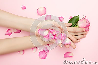 International Womans day and Happy Valentines, Mothers day concept. The woman hands hold rose flowers on a pink background. A thin Stock Photo