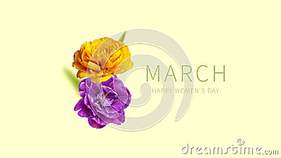 International Women's Day. Creative concept for March 8 from purple yellow tulips. Number eight from flowers on light Stock Photo