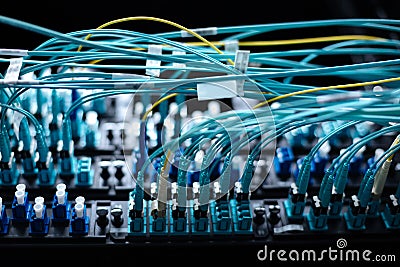 Internet cables being connected to the switch panel Stock Photo