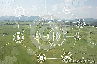 Internet of things industrial agriculture,smart farming concepts Stock Photo