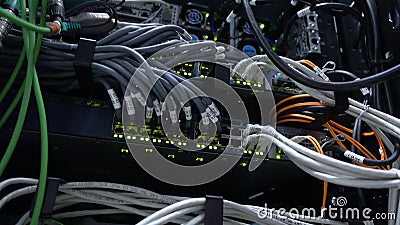 Interruptor de trabajo de Ethernet en sitio del centro de datos Lámparas verdes del centelleo 4K almacen de video Interruptor de trabajo de Ethernet en sitio del centro de datos Lámparas verdes del centelleo 4K almacen de video