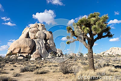 Intersection rock in joshua tree national park Stock Photo
