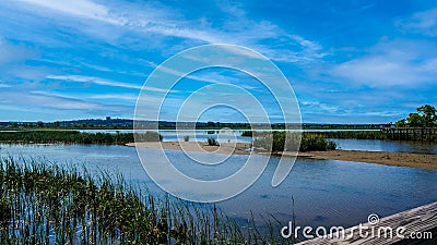 Interstate in Mobile and Alabama swamp landscape in summer Stock Photo