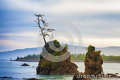 Intertidal Rocks In Tillamook Bay Stock Photo