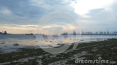 Intertidal Walk Along Tanjong Rimau Stock Photo