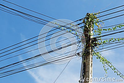 Intertwining of many electrical wires on poles Stock Photo