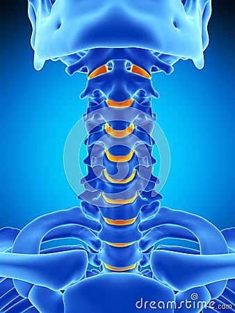 The intervertebral discs Cartoon Illustration