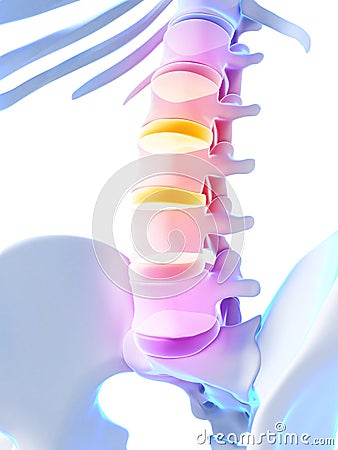 Intervertebral disks Cartoon Illustration