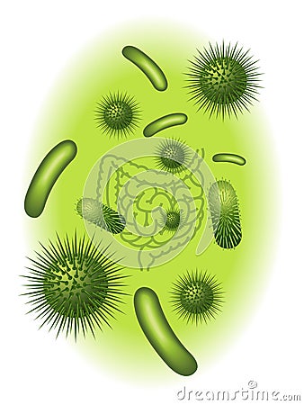 Intestinal bacterial flora Vector Illustration