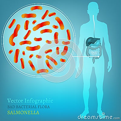 Intestinal infection 01 A-04 Vector Illustration