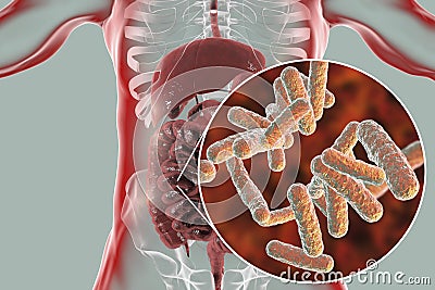 Intestinal microbiome, close-up view of enteric bacteria Cartoon Illustration