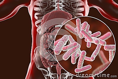 Intestinal microbiome, close-up view of enteric bacteria Cartoon Illustration