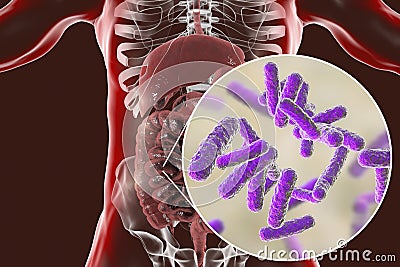 Intestinal microbiome, close-up view of enteric bacteria Cartoon Illustration