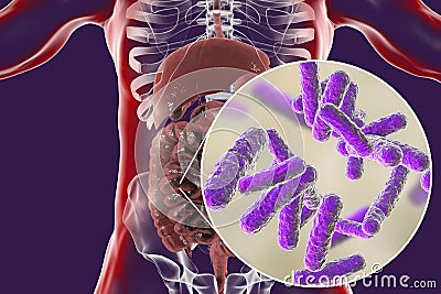 Intestinal microbiome, close-up view of enteric bacteria Cartoon Illustration