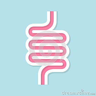 Intestinal vector design Vector Illustration