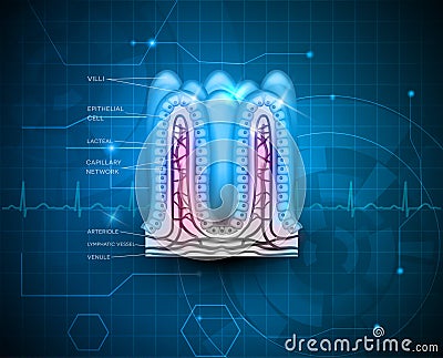 Intestinal villi blue technology background Vector Illustration