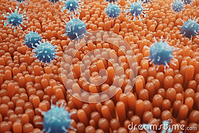 Intestinal villi, mucosa intestinal. Bacteria and microbes in intestines. Microscopic villi and capillary. Human Stock Photo