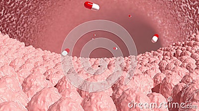 Intestinal villi with pills internal devices of internal organs 3d Stock Photo