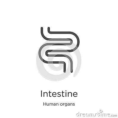 intestine icon vector from human organs collection. Thin line intestine outline icon vector illustration. Outline, thin line Vector Illustration