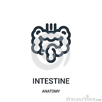 intestine icon vector from anatomy collection. Thin line intestine outline icon vector illustration. Linear symbol for use on web Vector Illustration