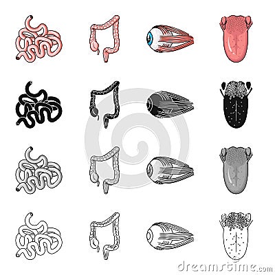 Intestine, internal organ, duodenum, human eye, tongue and tonsils. Human organs set collection icons in cartoon black Vector Illustration