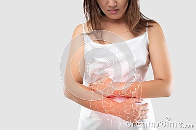 Intestine and internal organs in the women`s body Stock Photo