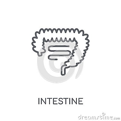 Intestine linear icon. Modern outline Intestine logo concept on Vector Illustration