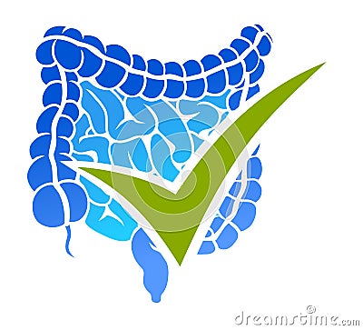 Intestines and check mark Vector Illustration