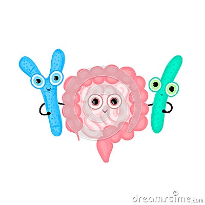 Intestines hugging with probiotics. Digestive tract. Large and small intestine. Bifidobacterium and lactobacillus Vector Illustration