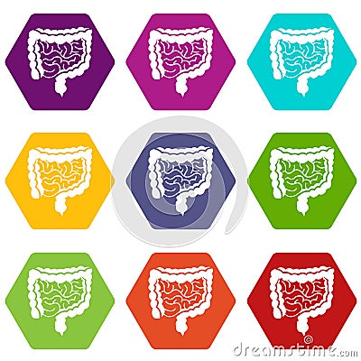 Intestines icon set color hexahedron Vector Illustration