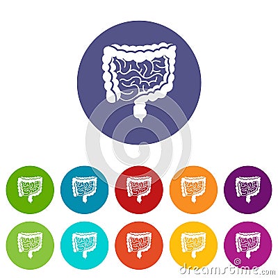 Intestines set icons Vector Illustration