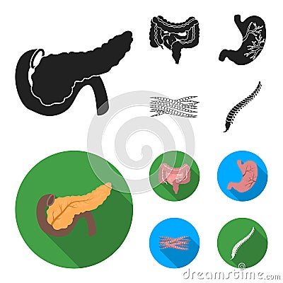 Intestines, stomach, muscles, spine. Organs set collection icons in black, flat style vector symbol stock illustration Vector Illustration