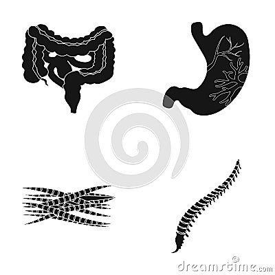 Intestines, stomach, muscles, spine. Organs set collection icons in black style vector symbol stock illustration web. Vector Illustration