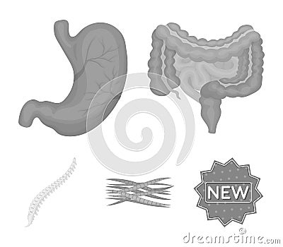 Intestines, stomach, muscles, spine. Organs set collection icons in monochrome style vector symbol stock illustration Vector Illustration