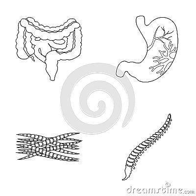 Intestines, stomach, muscles, spine. Organs set collection icons in outline style vector symbol stock illustration web. Vector Illustration