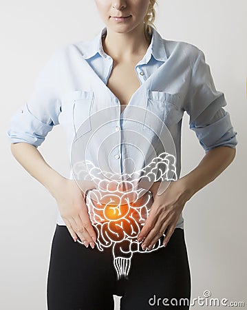 Intestines visualisation on woman body closeup Stock Photo