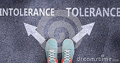 Intolerance and tolerance as different choices in life - pictured as words Intolerance, tolerance on a road to symbolize making Cartoon Illustration