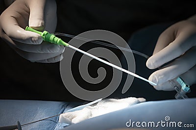 Intra-arterial vascular sheath Stock Photo