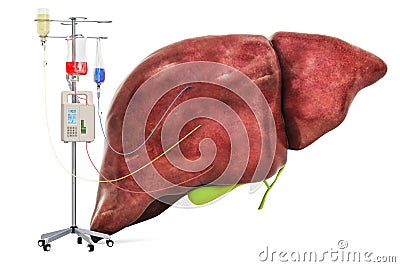 Intravenous therapy system with human liver. Treatment of liver diseases concept, 3D rendering Stock Photo