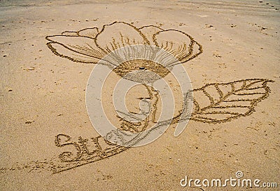 Intricate flower sand art on a beach. Stock Photo