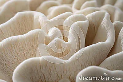 An intricate handmade macrame pattern up close. Cotton threads intertwined with macrame braids. A female-oriented hobby Stock Photo