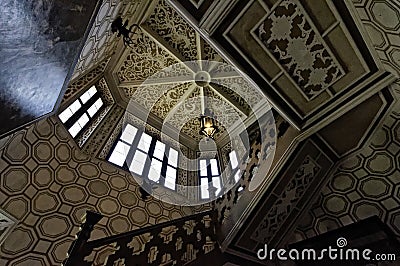 Intricate work carved on the ceilings of Hradek u Nechanic Editorial Stock Photo