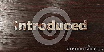 Introduced - grungy wooden headline on Maple - 3D rendered royalty free stock image Stock Photo