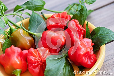Introducing the Mat Hatter! Peppers That Will Make You Smile. Stock Photo