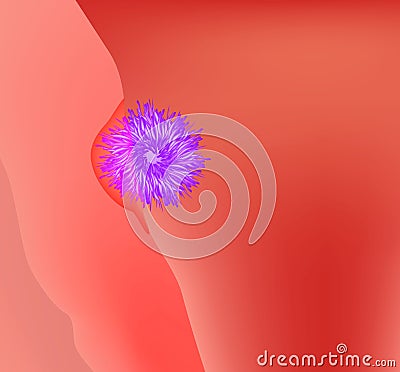 The introduction of the egg into the uterus. Embryo implantation. The structure of the egg. Ovum anatomy. Vector Vector Illustration