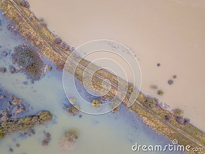 in inundated floodplains of river Stock Photo