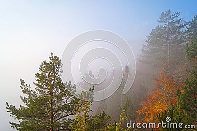 Inversion on the hill Stock Photo