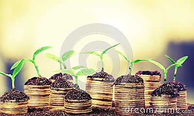 Investment growth Stock Photo