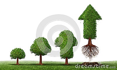 Investment Maturity Stock Photo